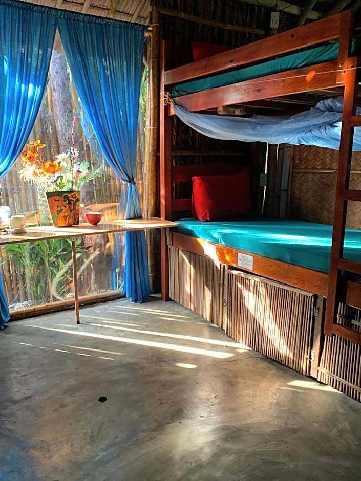 Under The Coconut Tree Hoi An