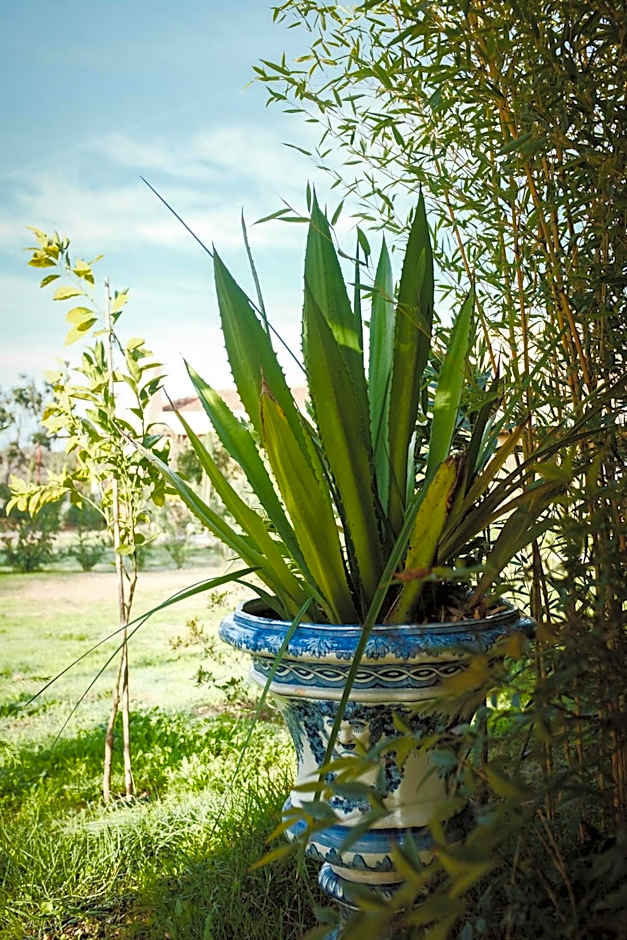 Monte da Bela Raposa