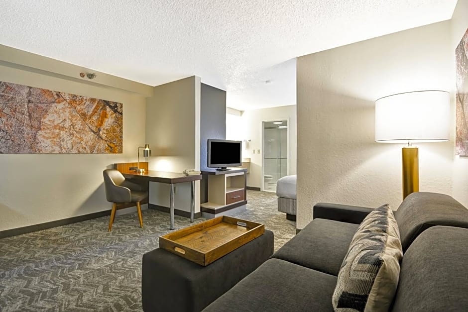 SpringHill Suites by Marriott San Antonio Medical Center/Northwest
