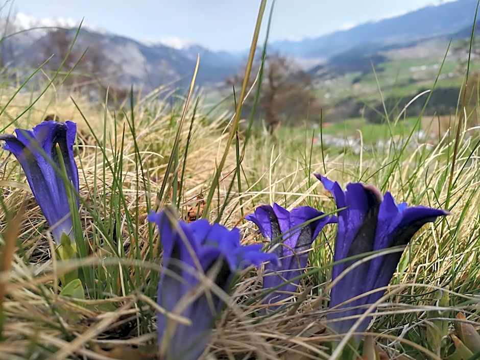 Huber - Das Tiroler B&B