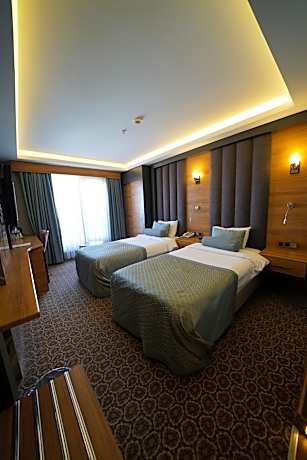 Standard Twin Room with Mountain View