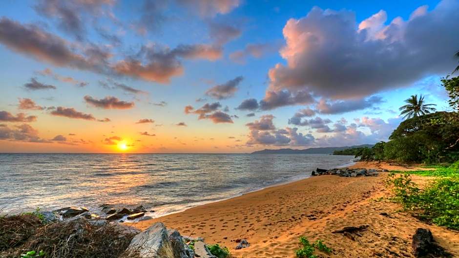 Flying Fish Point Tourist Park