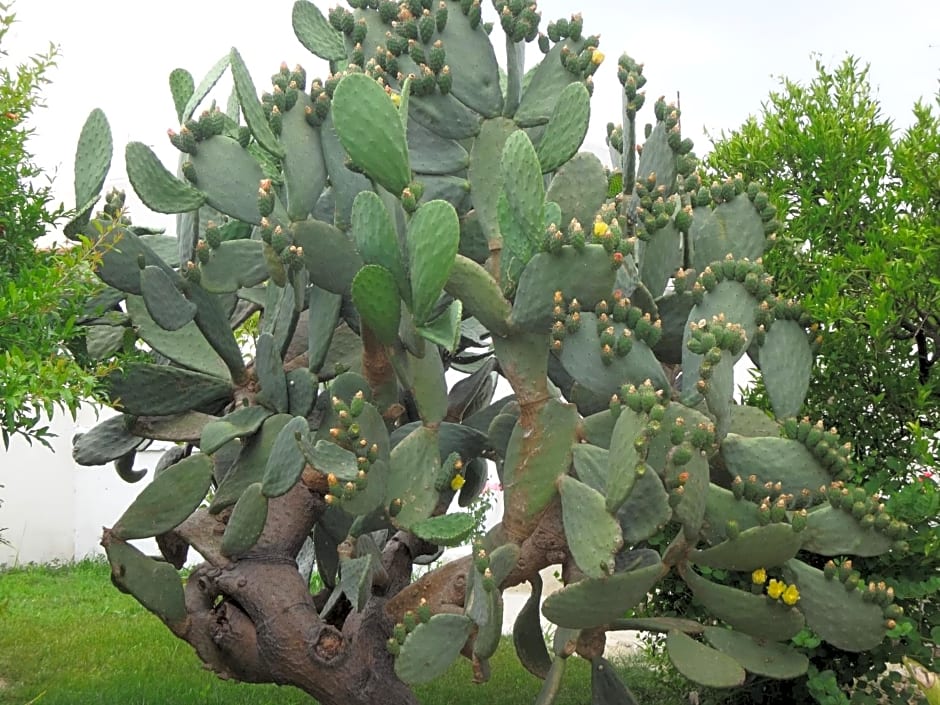 Borgo dei Filitti - B&B artistico - Piscina Solarium & Enoteca