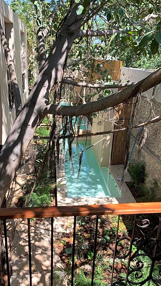 TreeHouse Boutique Hotel, an adults only boutique hotel