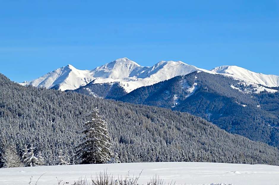 Hotel Chalet Olympia