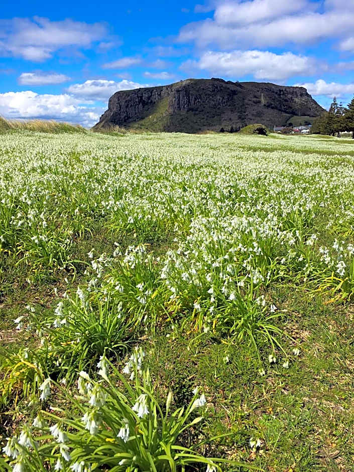 Cable Station Accommodation