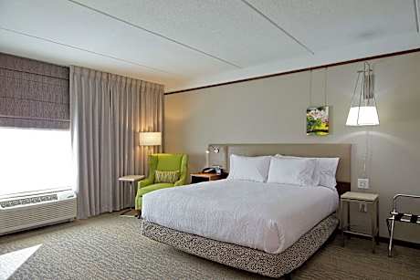 1 King Bed 1 Bedroom Suite With Sofabed