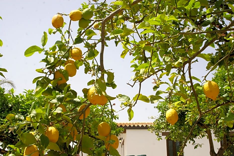 Terra Dei Limoni