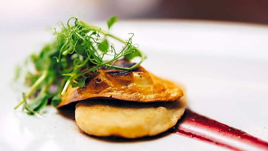 Hotel Paryski Art & Business Zakopane - Basen Jacuzzi Sauna Małpi Gaj