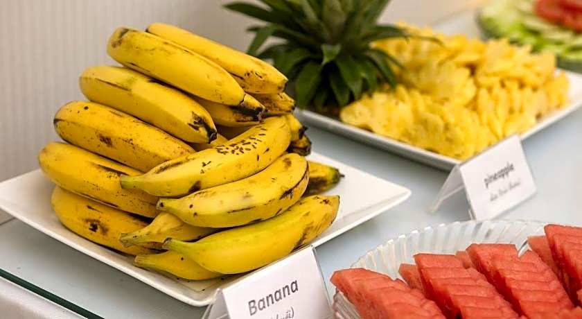 Eco Luxury Hotel Hanoi