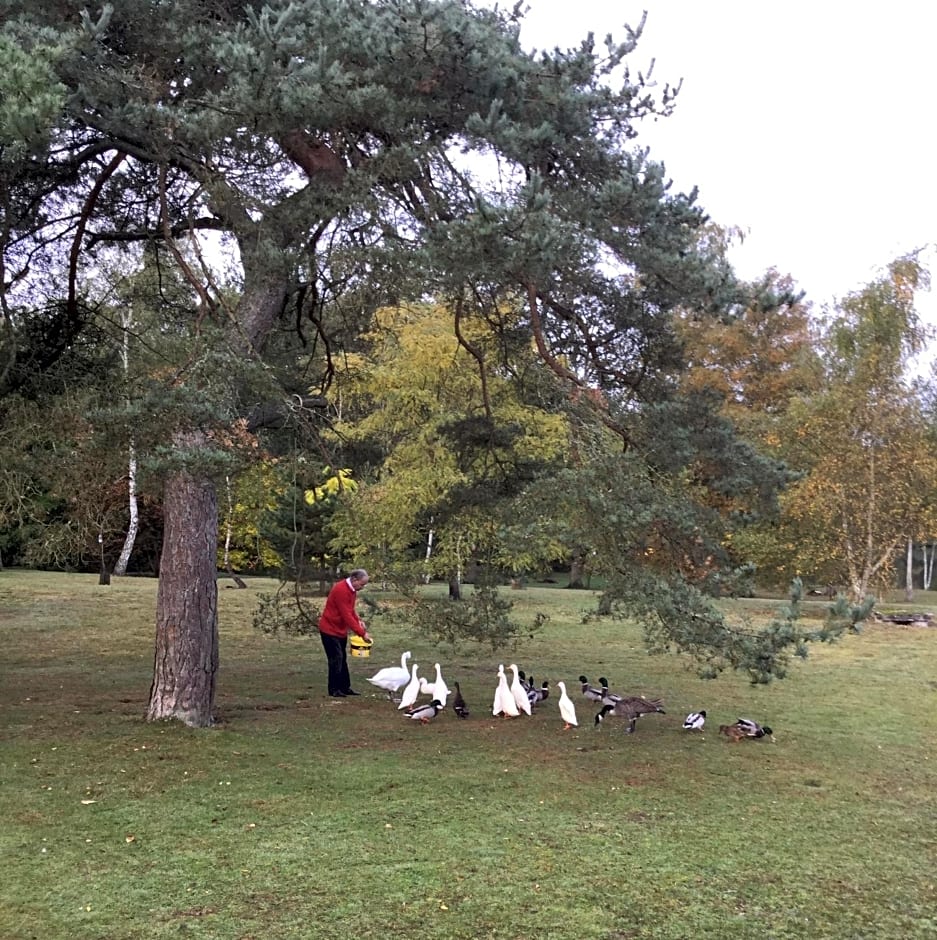 Résidence Clairbois, Chambres d'Hôtes