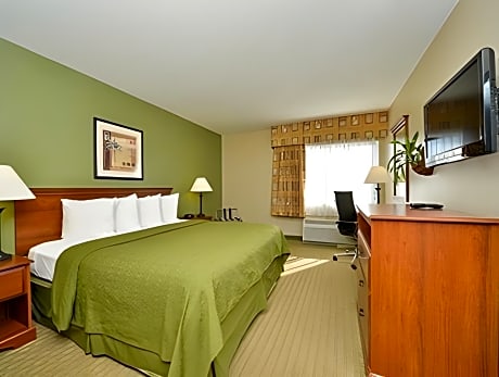 1 Bedroom King Suite