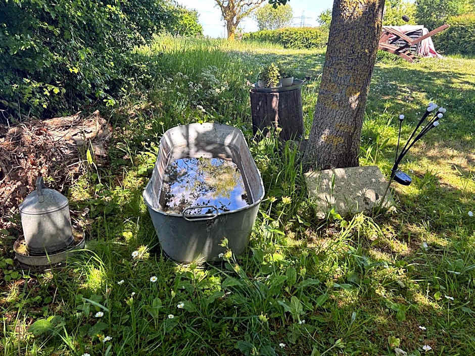 Mr Hares shepherd hut