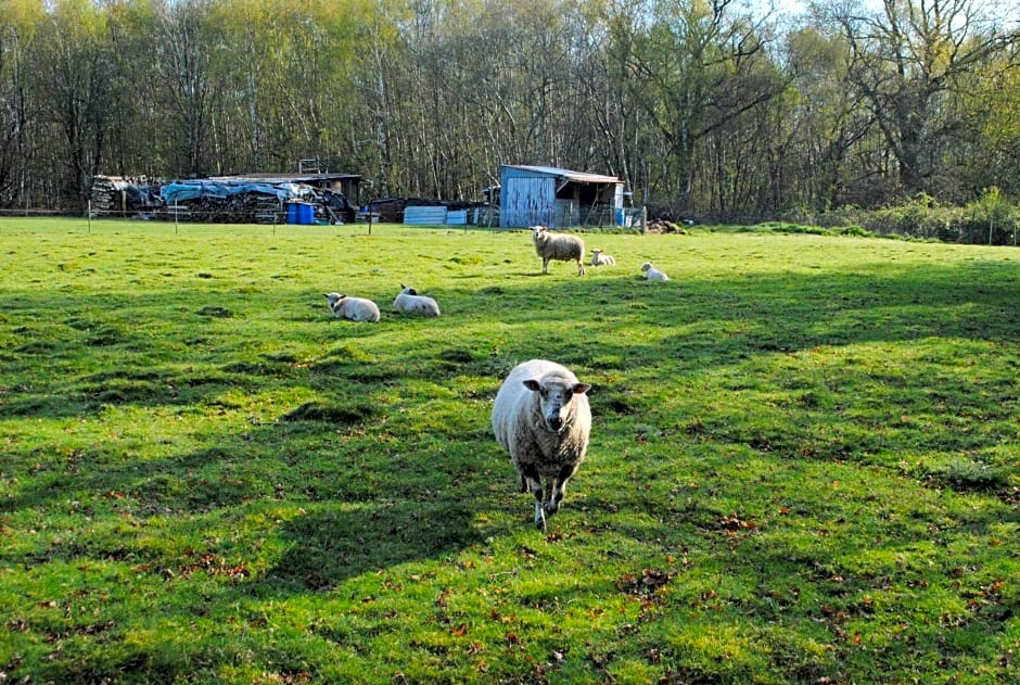 Chambres d'hôtes La Tribu
