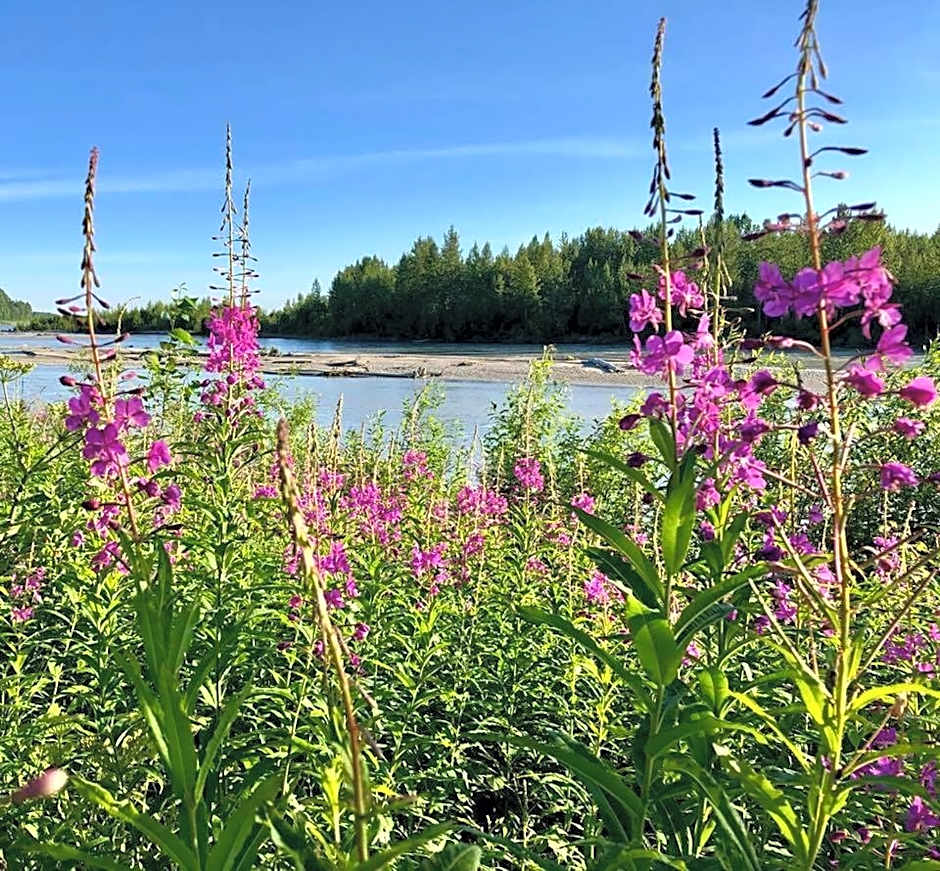 Susitna River Lodging, Suites
