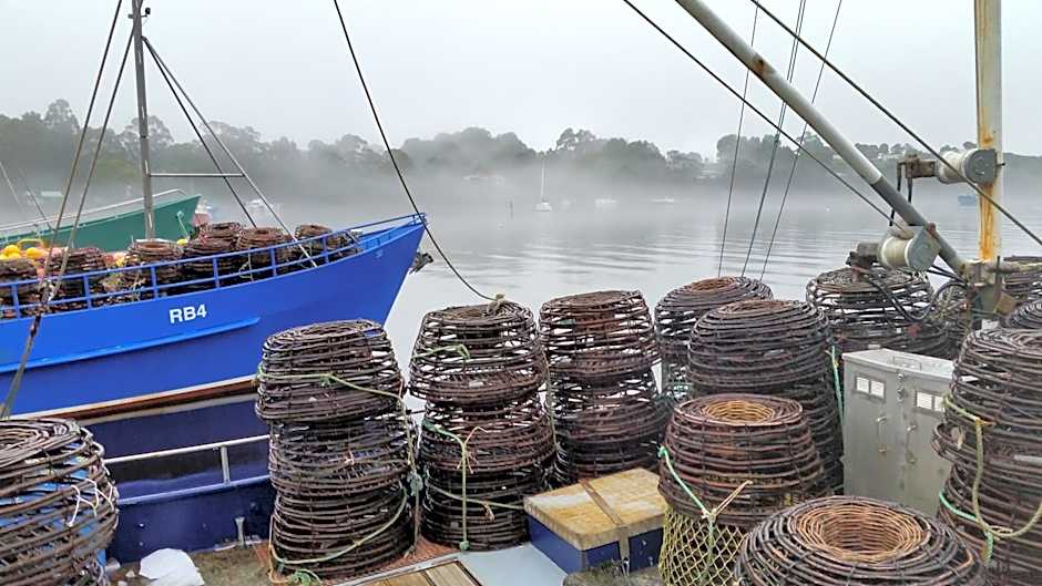 Castaway Holiday Apartments