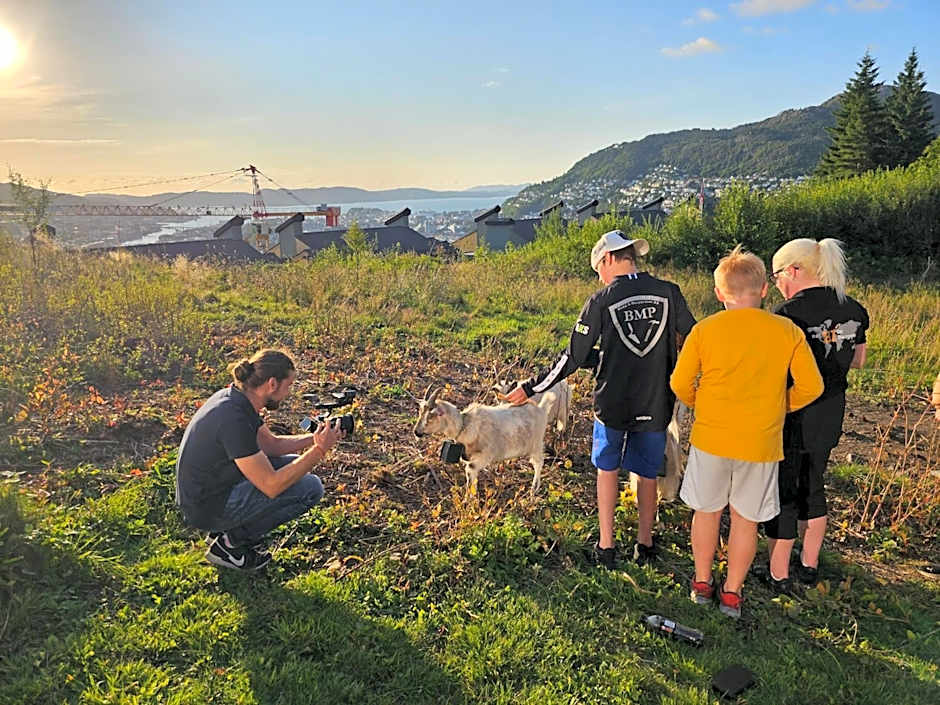 Bergen Hostel Montana