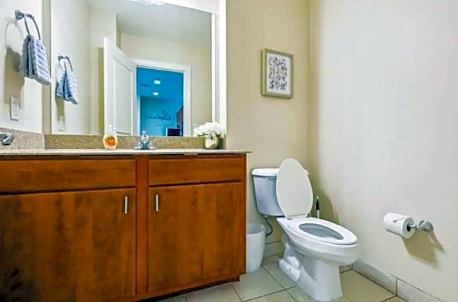 Amazing Condos Beautiful View 2 Blocks To French Quarter, Small Rooftop Pool, Gym, Seanger Theater, Super Dome, And Bourbon St
