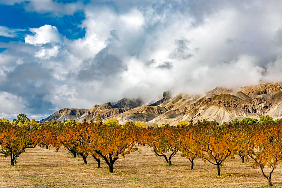 Grand Vista Hotel-Grand Junction