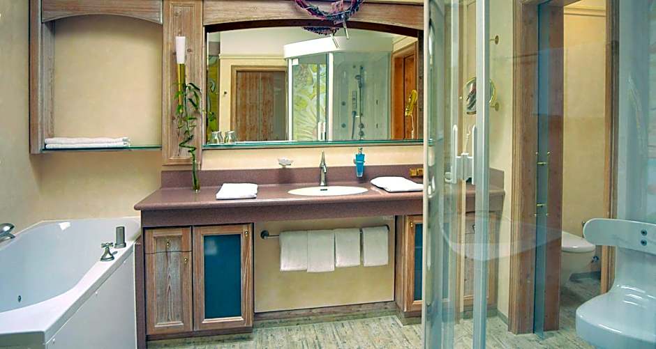 Wellness-& Nationalpark Hotel Schliffkopf, BWSC