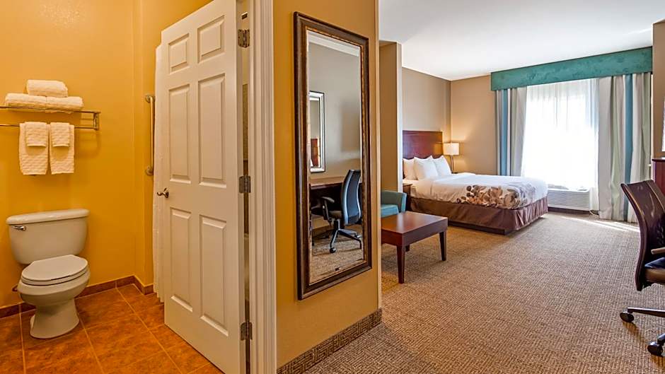 Best Western Dothan Inn & Suites