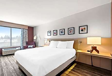 1 King Bed Airport View