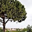 Balconi Del Conero