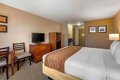 Standard Room, 1 King Bed, Non-Smoking