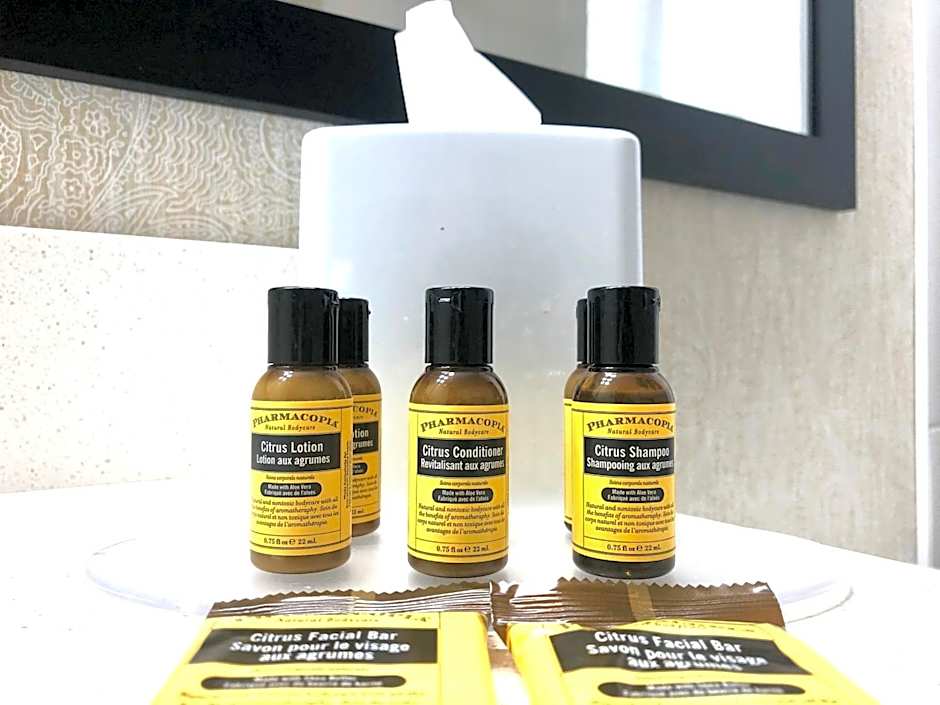 Best Western Plus Suites Downtown