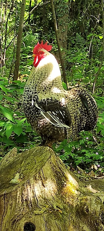 Chambres de Monthéard