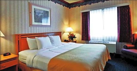 1 King Bed, Nonsmoking, Accessible