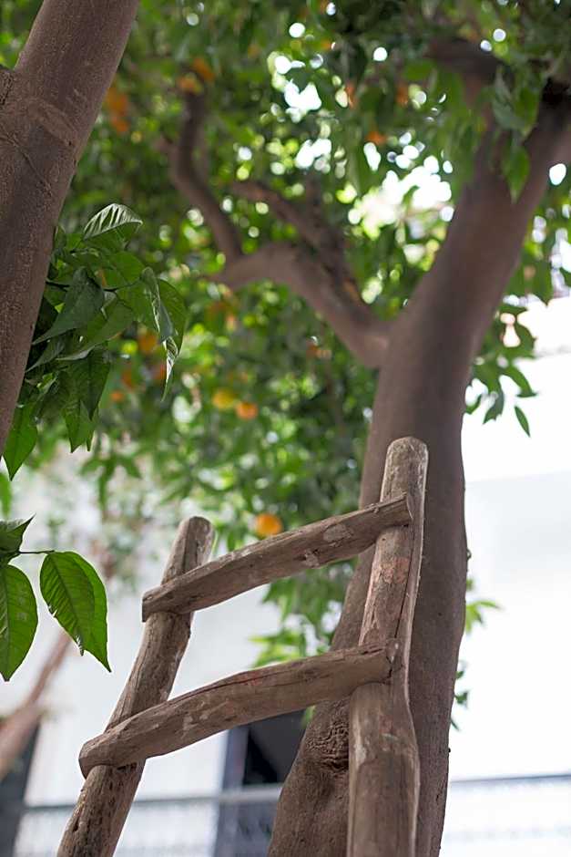 Origin Hotels Riad Lhena