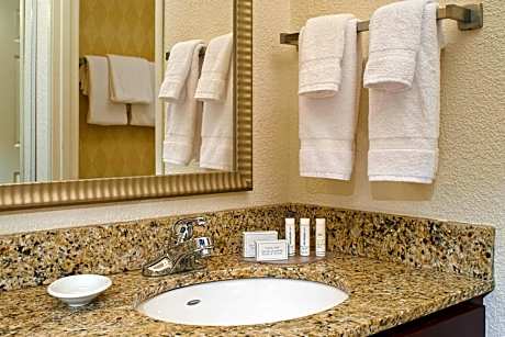 Studio, 1 King Bed with Sofa bed (1 King Bed and 1 Double Sofa Bed)