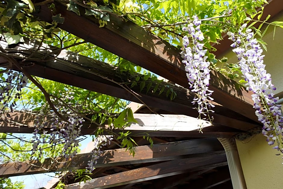 Patrimonio chambre avec commodités chez l’habitant