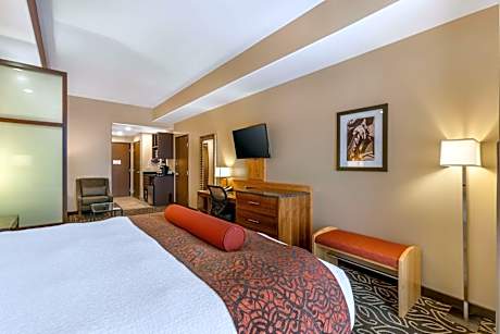 King Room with Roll-In Shower - Disability Access