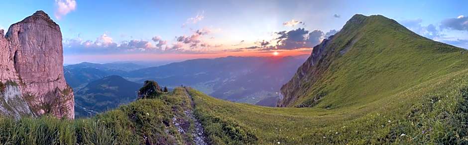 Edelweiß am Öberle