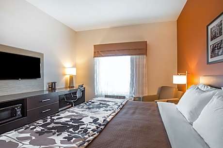 King Room - Non-Smoking