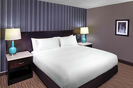 1 King Bed Mobility/Hearing Accessible Room Roll-In Shower Non-Smoking