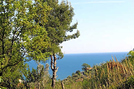 PioppiHouse
