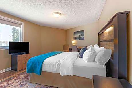 Queen Room with Roof View