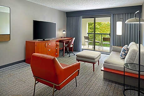 Suite, 1 King, Sofa bed