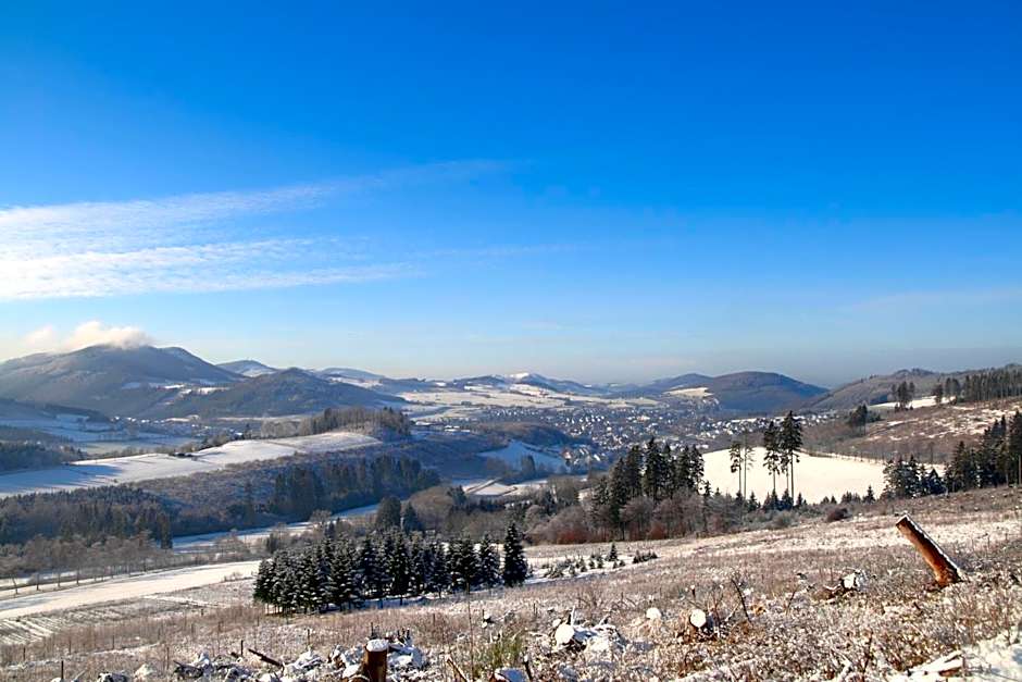 Waldhotel Schinkenwirt