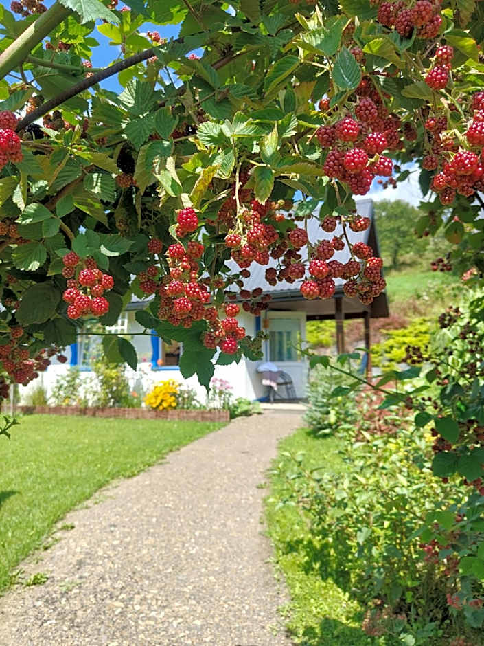 Osada Leonówka Bieszczady