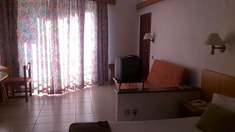 Superior One-Bedroom Apartment