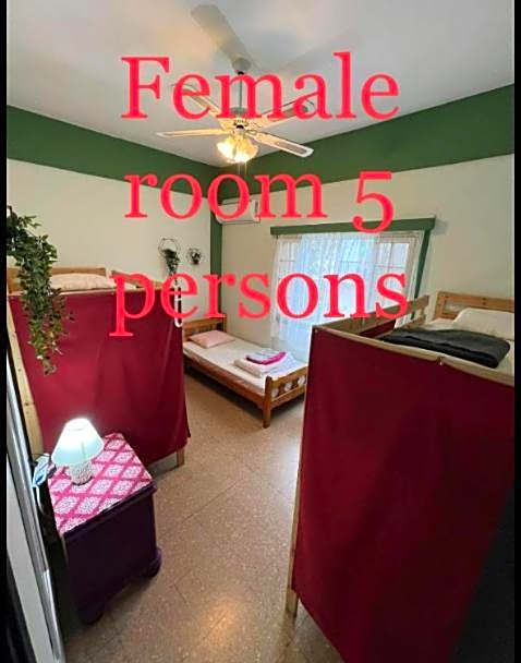 Past or Tail hostel