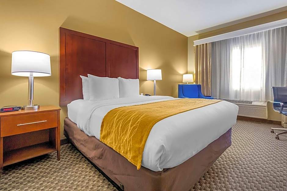 Comfort Inn Auburn - Seattle
