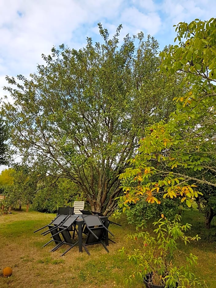 La Minoterie - Studio avec kitchenette et Chambre d'hôtes