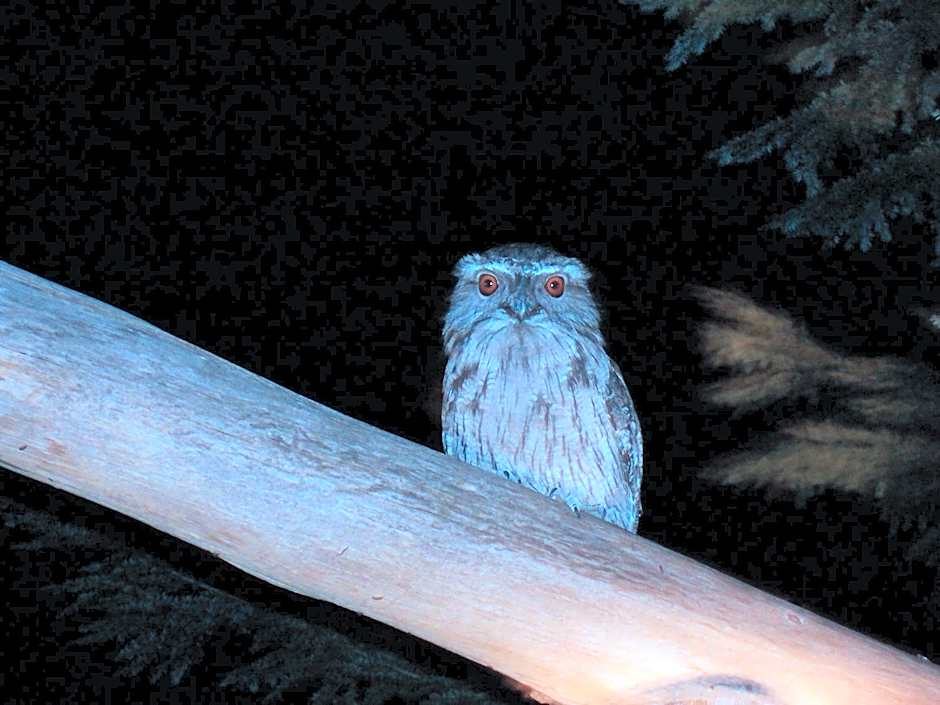 Silver Ridge Retreat