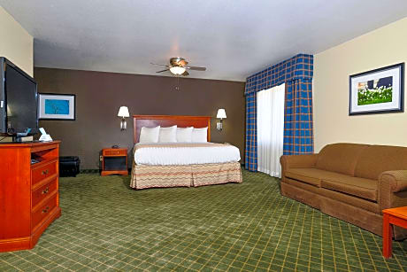 1 King Bed Non-Smoking Kitchenette Wi-Fi Full Breakfast