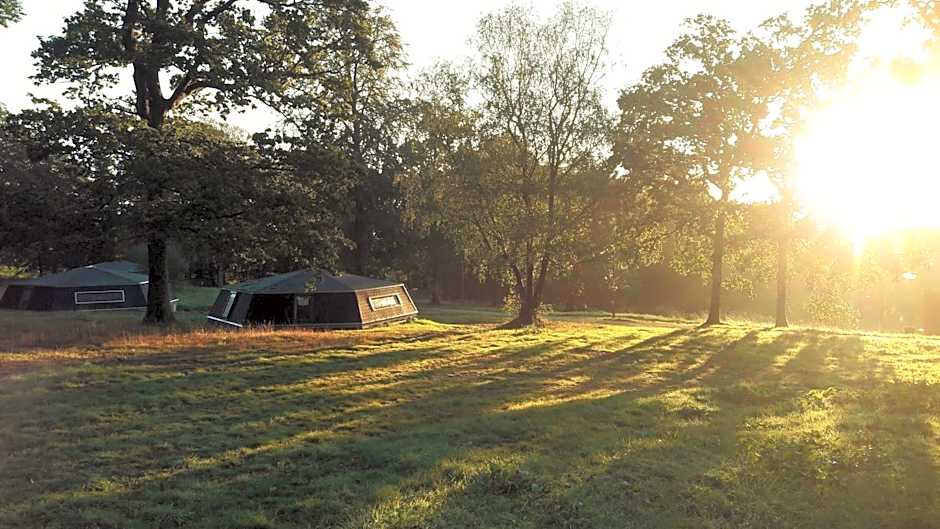 L'étape en forêt